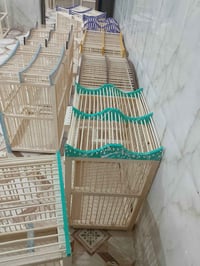 قفاص بلابل • بابل • واتساب
