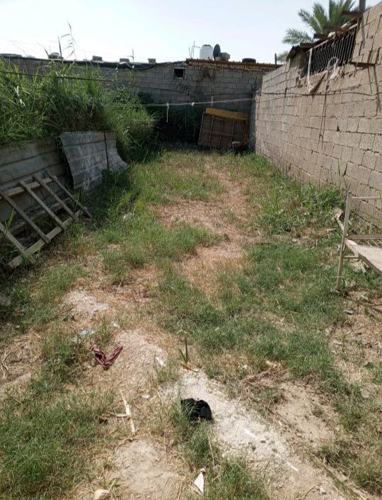 وتساب فقط ***********
