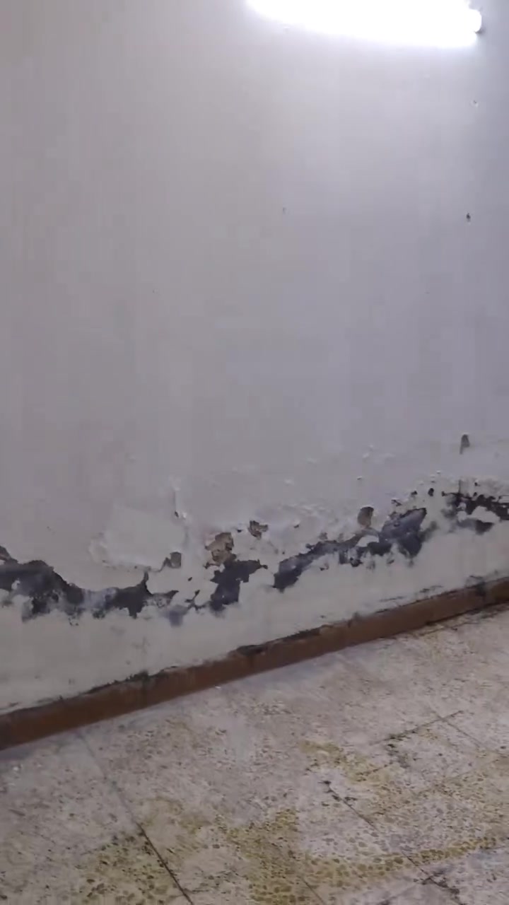 سلام عليكم بيت ليجار لمكان حي لسفر


**إذا كنت صاحب هذا الإعلان وتريد حذفه لأي سبب، رجاءا أرسل رسالة إلى الدعم الفني**