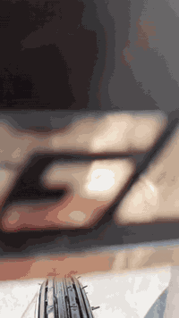 موديل 2024 • أوراق أصلية • دوانيهة مركز