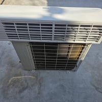 سبلت يورك • طنين • ابو الخصيب