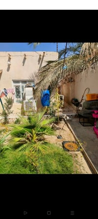بلعزل • ١٣٣م • شبكات ضوئية