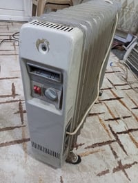 صوبه زيتية • حجم كبير • ساحه عدن