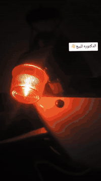 ماكس منغولي • بوشه ٤٩ • معدل فول