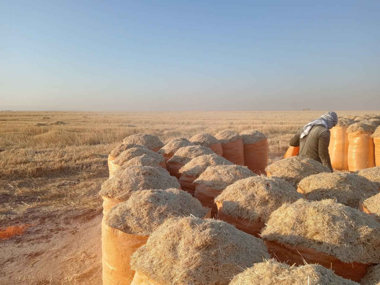 🌾 يوجد تبن للبيع 🌾

تبن الشمال (أربيل وكركوك)
✅ أبيض
✅ ناعم
✅ نظيف
✅ خالٍ من التراب

🚛 سعر الزوج إلى البصره : ٩ ونص

📞 للاستفسار والطلب: ***********
