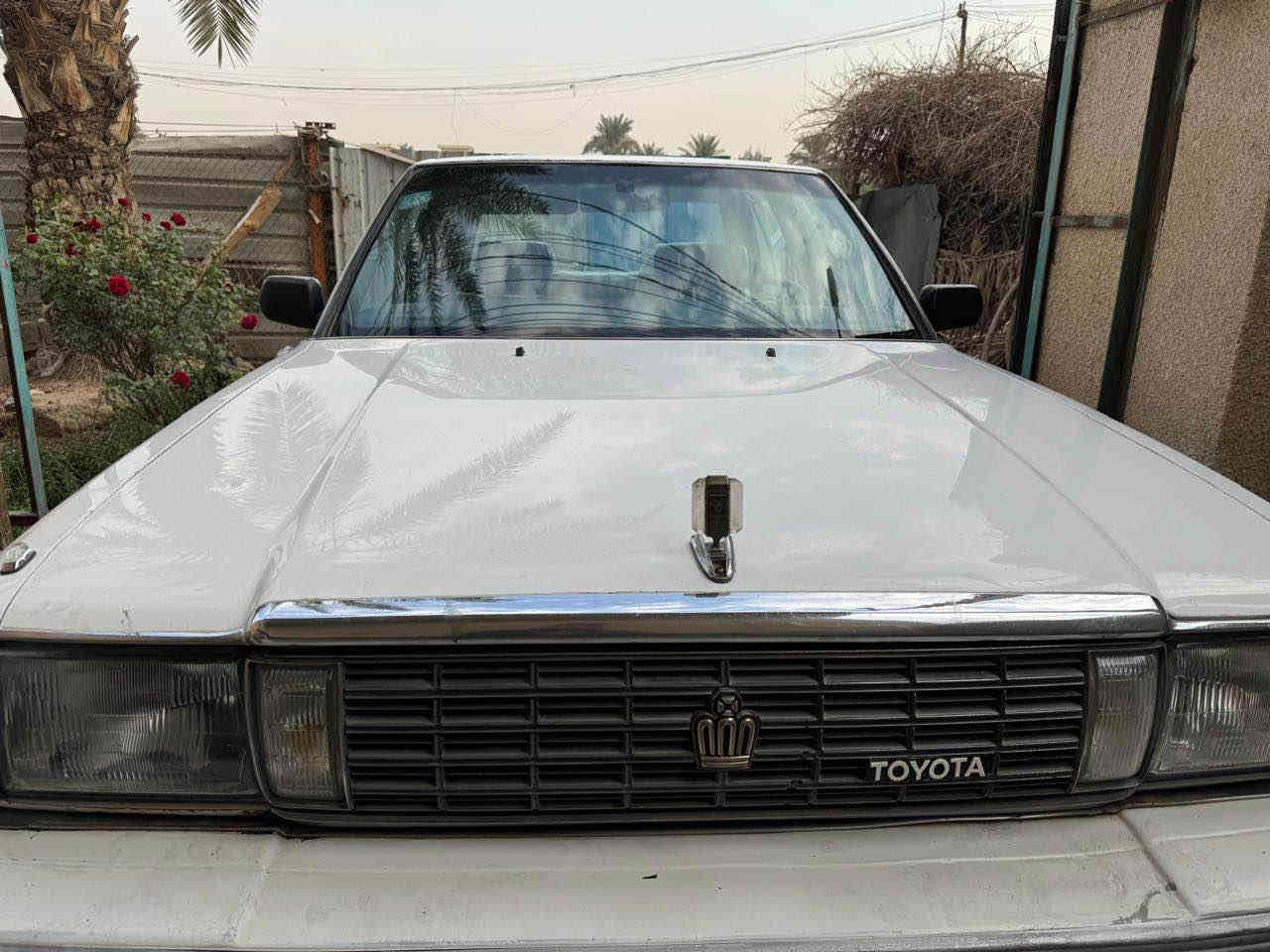 سيدان موديل 1990 مكينه وكير جدد كير عادي كهربائيات وتبريد شغال سياره بلاديه بيها مكانات صبغ بدون معجبون رقم بغداد تحويل ثاني يوم لرقم الجديد داخلها جديد سياره نضيفه وبلاديه مكاني بغداد حي لخضراء 
سعرها ٦٥ ورقه وبيها مجال 
*********** بغداد, العراق
