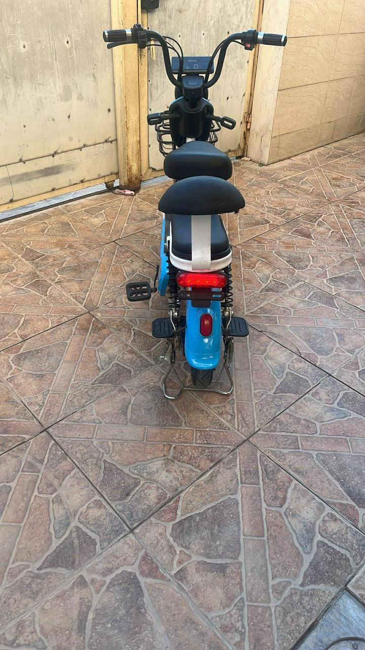 دراجه شحن للبيع السعر 175 الف وبيهه مجال قليل


**إذا كنت صاحب هذا الإعلان وتريد حذفه لأي سبب، رجاءا أرسل رسالة إلى الدعم الفني**