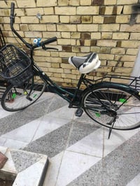 باسكل • نضيف • حجم ٢٦