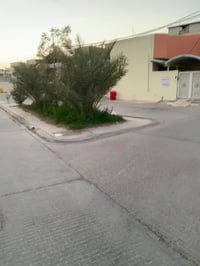 شارع كربلاء • ٢٥٠م • ٤ غرف