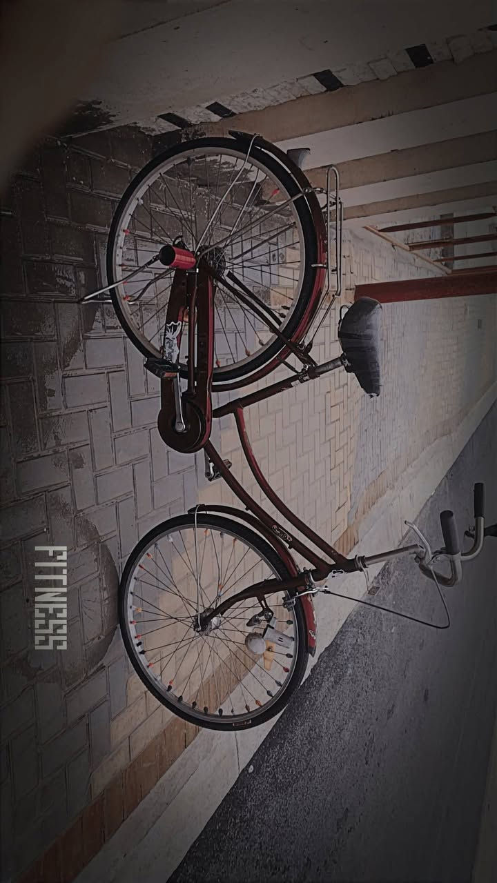 سلام عليكم بايسكل للبيع بناتي حجم 26الون ماروني مميز البايسكل مابي شي ولشه نضيفه بي بس بنجر الوره تايرات مابي شي نضيفات بايسكل مرتب السعر 60


**إذا كنت صاحب هذا الإعلان وتريد حذفه لأي سبب، رجاءا أرسل رسالة إلى الدعم الفني**