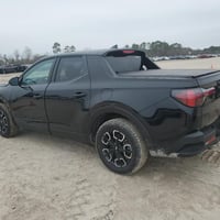 ٢٠٢٤ • الزبيديه • كتاب شهداء