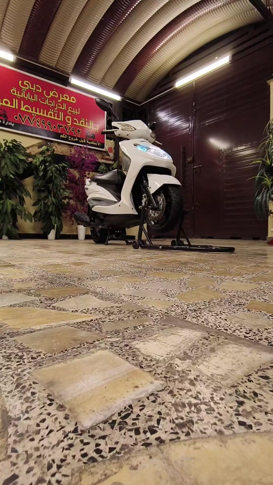 للبيع ( سكنس فحل) ( ياباني) حاوية رمبة مكفولة كفالة عامة من معرض دبي لبيع الدراجات اليابانية والكهربائية الاعضمية قبل خروج الكم بإدارة مهند الدبي


**إذا كنت صاحب هذا الإعلان وتريد حذفه لأي سبب، رجاءا أرسل رسالة إلى الدعم الفني**