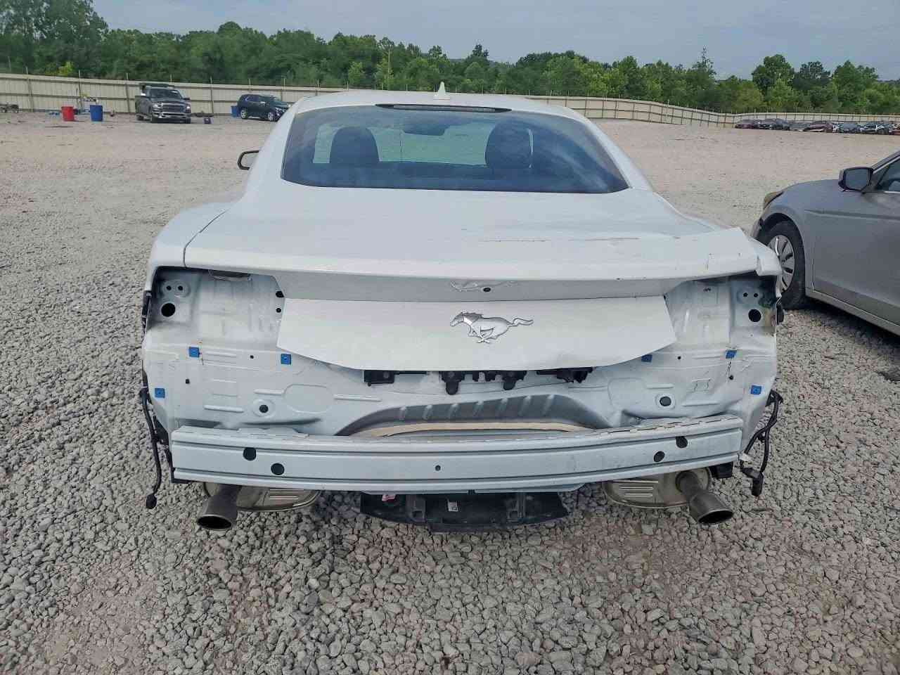 2025 FORD MUSTANG

شحن مباشر الى اربيل عن طريق مرسين تركيا 
شحن مباشر الى العراق عن طريق الحرة الاردن 
*********** :📞 
*********** :📞
السعر :  حسب المزاد  
تاريخ المزاد :  6/8
الضرر : حسب الصور المرفقة 
بيع وشراء كتب شهداء 
شراء سيارات تحت الموديل لمن لديه كتاب ضباط 
لو كتاب دبلوماسي 
بالامكان ادخالها بكتاب ذوي الشهداء باعفاء كمركي مع اعفاء الرقم 

🔺نتكفل بالسيارة لحين وصولها 
🔺اي استفسار مراجعة المكتب 
🔺 اوقات العمل كل ايام الاسبوع من الساعة ال 5 عصراً ماعد يوم السبت و الاحد عطلة المزاد
🔺 عملنا شراء السيارات من المزادات الامريكية والكندية
🔺لدينا تقرير Carfax مجاني لفحص السيارة قبل دخولها المزاد 
🔺 نشحن من جميع الموانئ الامريكية والكندية وبأسعار شحن تنافسية 
🔺نشحن الى دبي و عمان و البصرة و كردستان و تركيا  
🔺لدينا ورشة تصليح في دبي 
🔺لدينا معقب لتخليص السيارات (حرة او معوقين او ذوي الشهداء ) و ايصالها الى الزبائن
📍العنوان : موصل حي الوحدة مقابل معهد صناع الامل 
🔺اوقات الدوام من 4 عصراً وحتى ال11 ليلاً كافة ايام الاسبوع 
☎️ للاستفسار الاتصال على الرقم
م.علاء ابو فهد 
 
*********** :📞 
*********** :📞 ￼
