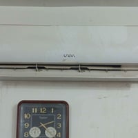 سبلت • ٢ طن • سنة ونص