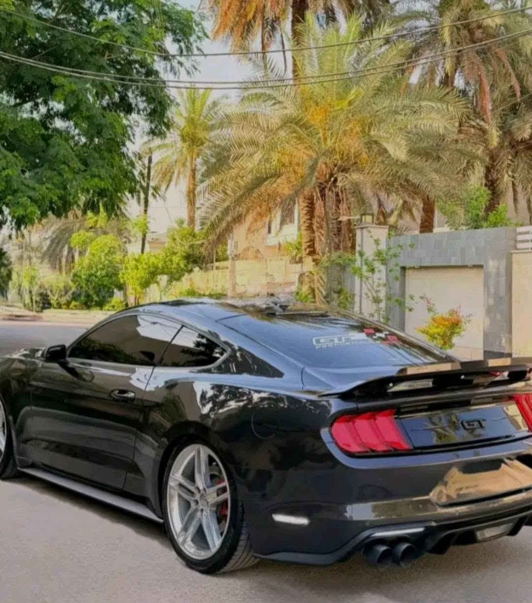 ***********
موستنك GT للبيع
10 نمر
كيجات دجتال
بصمه تشغغيل 
كشنات تدفئه كهرباء تبريد فول مواصفات للاستفسار
20 مليون وان شاء الله خير للمجال
مستعجل على بيعها اخوي مريض

