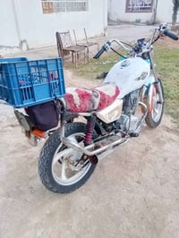 جني • ٢٠٠ • بدون اوراق