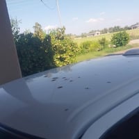 للبيع سوبر دير ٢٠٠٧ بلاديه محرك كير امكفوله رقم انبار تحويل مباشر  الر...