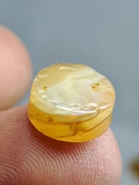 يمانية • صفره • ١سم