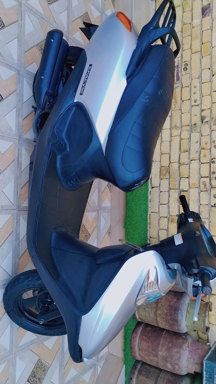 سبيسي رمبه رمبه +كفاله *********** 
الخاجيه
