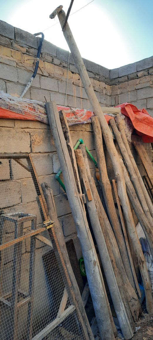 سلام عليكم اعمده خشب للبيع العدد 23 كبير وصغير مثل ماموضح بصور التواصل رقمي ***********
