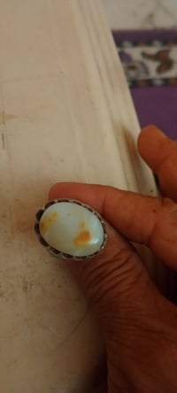عطف داودي • اكسسوار