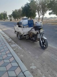 ستوته • 2010 • بلدروز ديالى