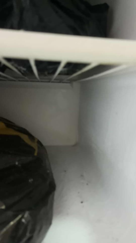 ثلاجه كبير للبيع بسعر ١٠٠ الف 
عنوان موصل حي الانتصار 
التواصل ع خاص 
مندوبه اعرض غراض منزليه مقابل عموله بسيطه


**إذا كنت صاحب هذا الإعلان وتريد حذفه لأي سبب، رجاءا أرسل رسالة إلى الدعم الفني**