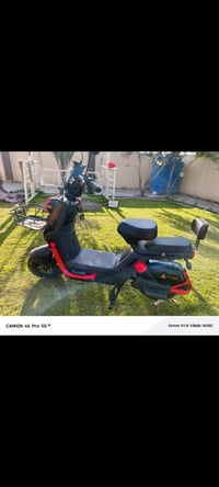 بايسكل شحن • حجم ١٦ • موديل ٢٠٢٥