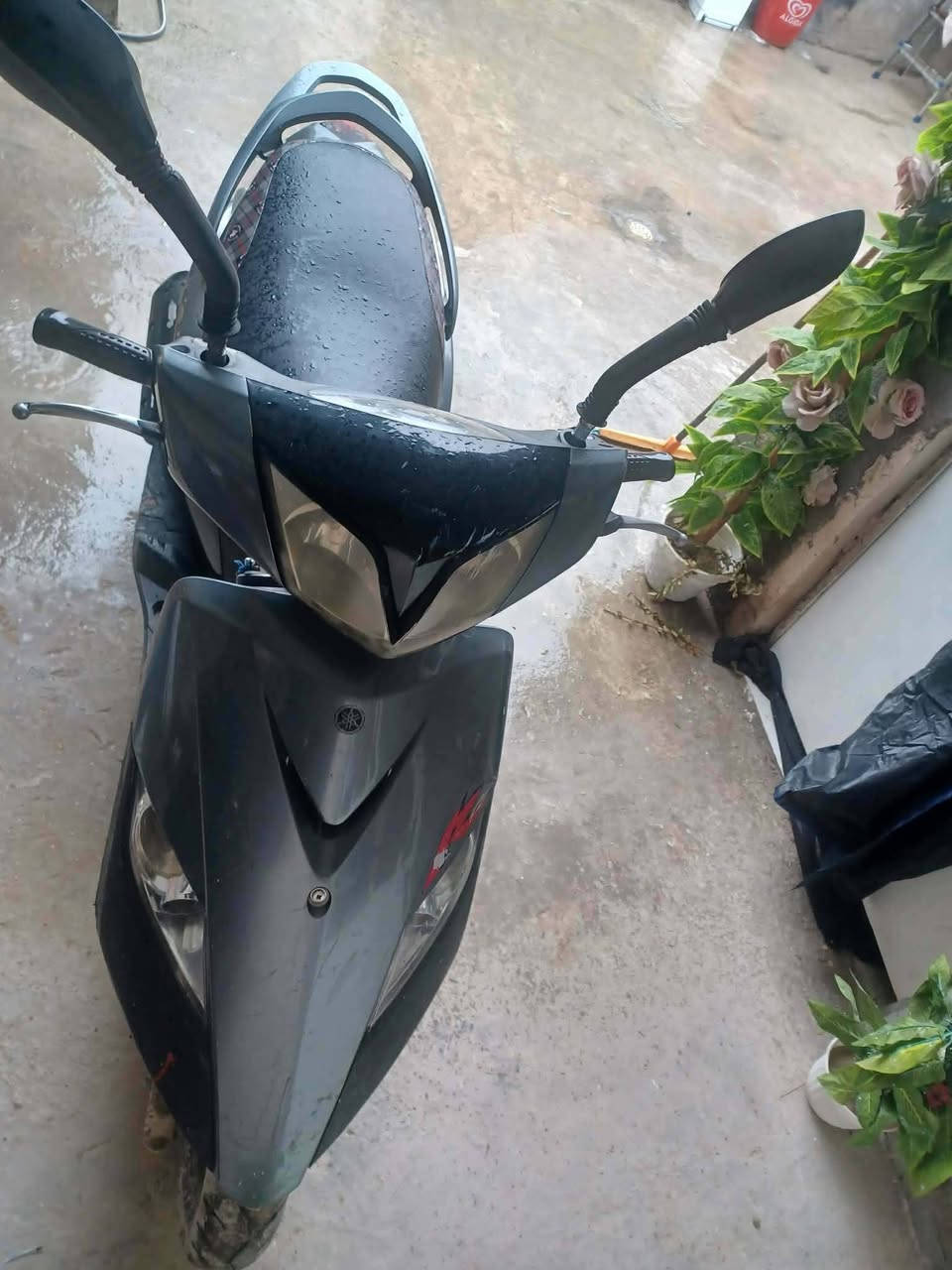 بغداد الشعله دراجه للبيع سعر 600 رقم الهاتف  *********** 📞  مكينه ما مفتوحه
