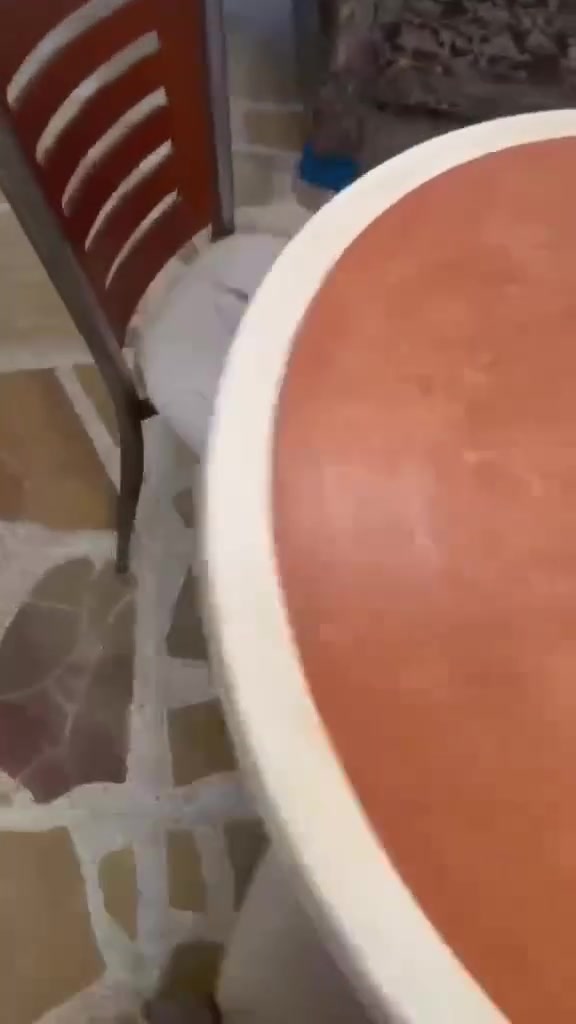 للبيع بسعر مناسب


**إذا كنت صاحب هذا الإعلان وتريد حذفه لأي سبب، رجاءا أرسل رسالة إلى الدعم الفني**