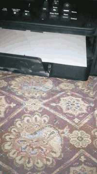 للبيع طابعه برذر T530 تشغله كدامي عيني وتعجبك وبالعافيه عليك


**إذا كنت صاحب هذا الإعلان وتريد حذفه لأي سبب، رجاءا أرسل رسالة إلى الدعم الفني**