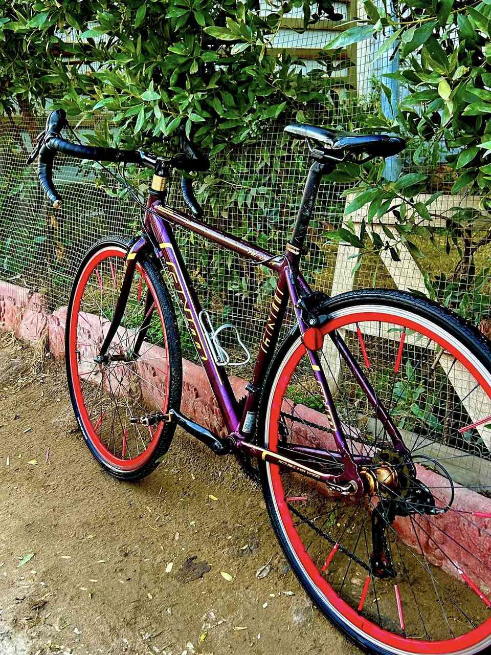 سلام عليكم شلون كباتن
متوفر للبيع دراجة رود   مميزة ماركة LOWII😊😍

معدن  الدراجه //فول المنيوم  🤩☺️

قياس فريم //50ميديم 🤩☺️

ويالة الدارجة // ماركة نوفتك اصلي  بولبرن فول سلاسة ومتانة 😍🤩

سعر 180 الف وبيها مجال بسيط شراي 
بغداد الشعب ***********
