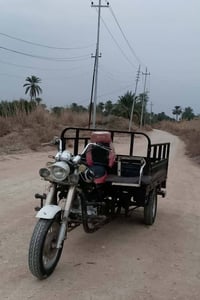 ستوته امتيار • اوراق اصلية • مديل 21