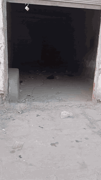 الدار للبيع المساحه ٣٢٨ طابو زراعي سند 25 الموقع تجاري سوك العرب قرب مكتب حسين الحجي على الشارع الرئيسي يتكون من محلين ودار غير كامله تتكون من غرفتين نوم وصاله واستقبال ومطبخ حار وبارد السعر ٢٢٠ مليون بي مجال بسيط مراجعة مكتب ابو ازهر الجرياوي للعقار الجمعيه مقابل اسواق حاتم غازي الاتصال على الارقام التاليه ***********
***********
***********//بالتوفيق إنشاءالله
