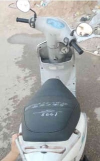 ماكس منغولي • مكفولة • واسط شيخ سعد