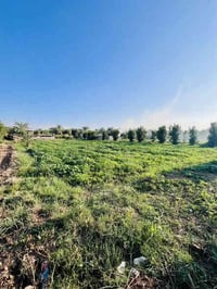 العزيزية برينج • ٢ دونم • واجهة ٧٠م