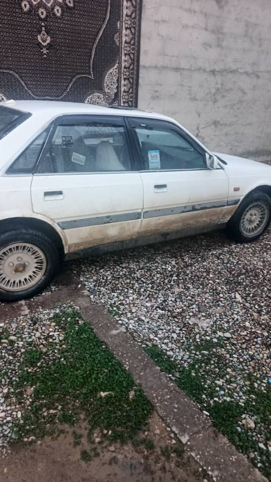 سلاموعلیکم
کوردی/عربي
مازدا 626 مەکینەی 8بەخ مۆدێل 1987 سەنەوی تا 2029 تازەیە،،، کۆبۆنی بەنزینی،،، لەگەڵە،گێڕو مەکینەی بەشەرت،4 تایەی تازەیە،،تحویل وکالە بەشرت،،سعری (35)$مجالێکی کەم
شوێنم کرکوک،،ژ.موبایل ***********
***********
عربي
مازدا 626موديل 1987 محرك8 بخ سنوية جديد حتا 2029 ...كود بنزين بي؟كير محرك كهربائي كله بشرط،،تحويل وكاله بشرط،،سعر(35)ورقه وبي مجال قليل
مكاني كركوك،،ر،موبايل ۰۷۷۰۰۱۷٤۹۱۸
۰۷٥۱٥۳٥۲٦۳۸ كركوك, العراق
