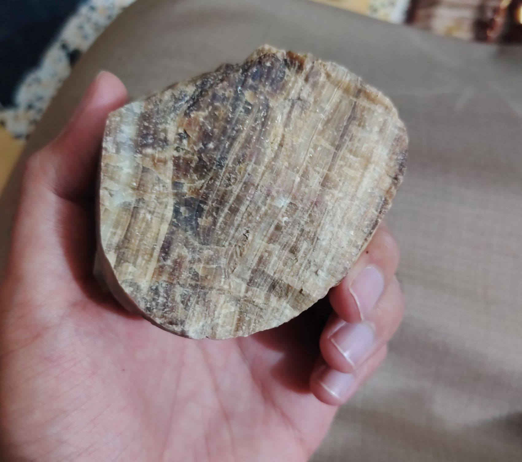 مكلف
مراوس فقط


**إذا كنت صاحب هذا الإعلان وتريد حذفه لأي سبب، رجاءا أرسل رسالة إلى الدعم الفني**