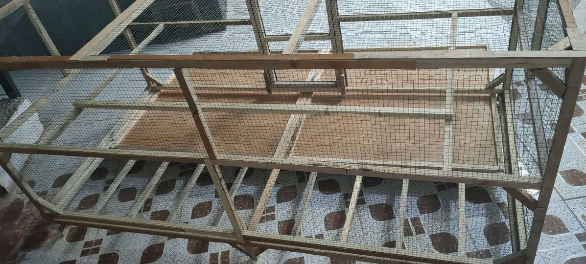 قفص طول مترين عرض متر ارتفاع 90 مع الرجلين السعر 80 الف


**إذا كنت صاحب هذا الإعلان وتريد حذفه لأي سبب، رجاءا أرسل رسالة إلى الدعم الفني**