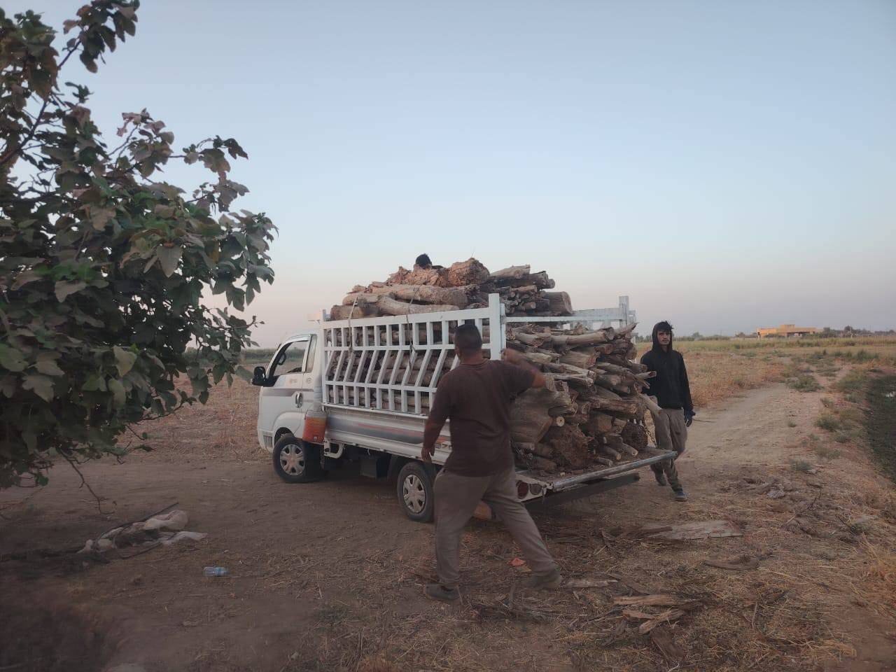 الي عنده كصاص بستان او غلنطوز أو اي خشب فحم للبيع يتصل ***********
