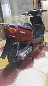 عصفورية • كايمة • ديو