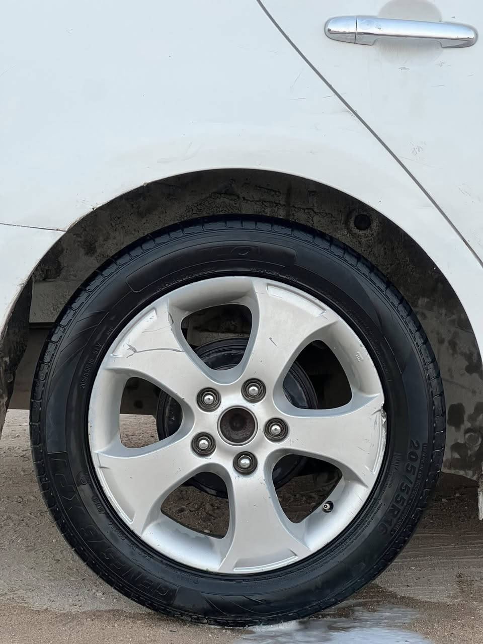 سلام عليكم تخم ويل ٥  سيراتو حجم ١٦ للمراوس مع ويل عادي مكاني نجف 
***********
