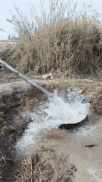 هندي ١٠ حصان • تبريد ماء • ديالى كنعان