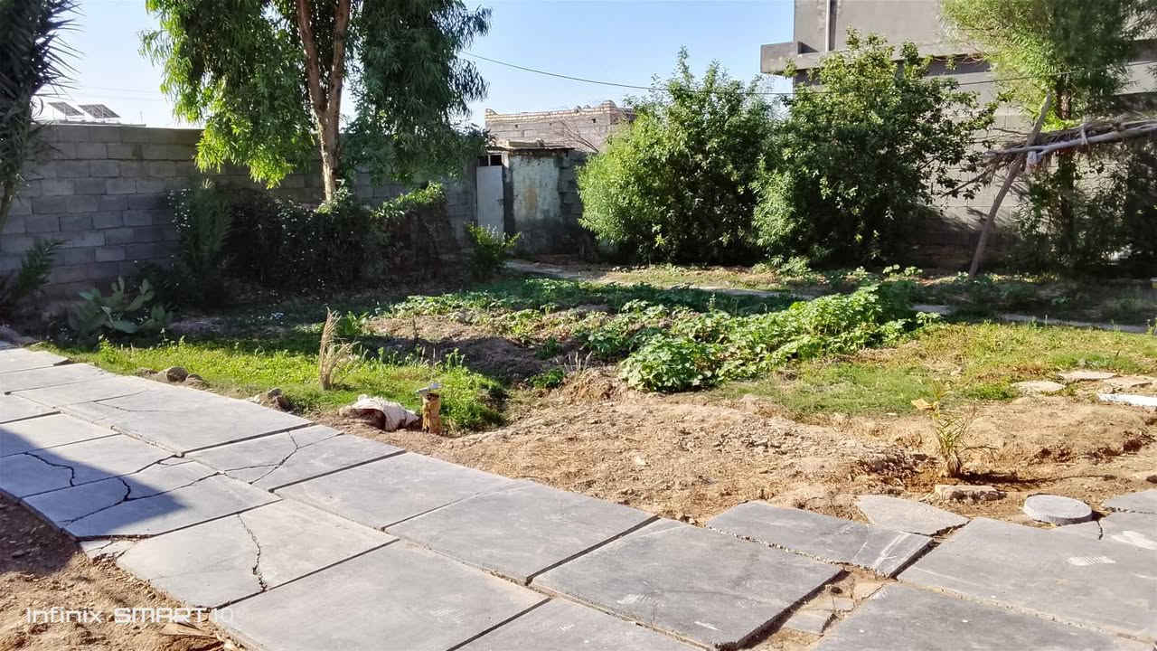 سلام عليكم بيع بيت مع كاع ارض زراعي ١١ دونم بيت بي غرف ٢+استقبال +مطبخ +صالة+صحيات داخلي+صحيات خارجيه +حديقة /مكاني واسط كوت قضاء عزيزية يم مشروع أبو فياض السعر خاص الاستفسار رقم[***********]
