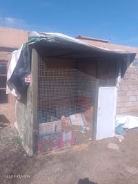 قفص حديد • ٢٫٥×٢×٢٫٢م • سمك ٢مم