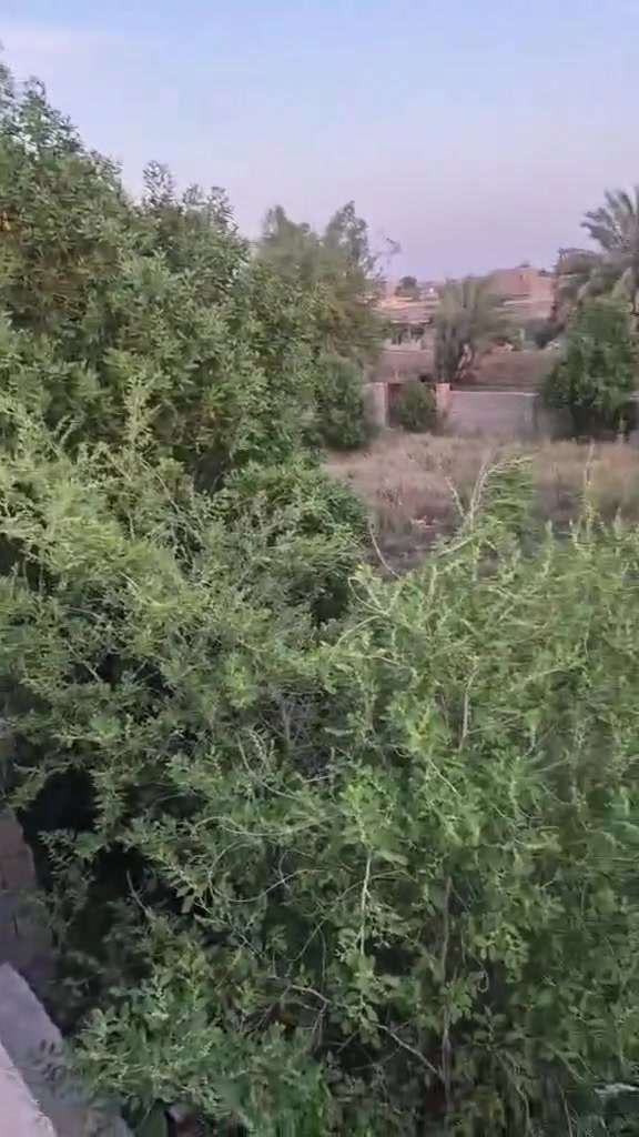 أرض زراعية للبيع مساحه 1000م مربع مسيجه 
عنوانه كوت حي الجهاد زنابره على جهة الشط..
للاستفسار الاتصال على الرقم.
***********
