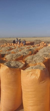 يوجد تبن درجى اولى راس كوم حجم ابو 70 سعر الزوج (5000)واصل للبيت 07736...