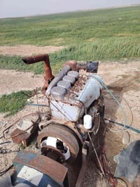 مولد دويز • راس ٥٠ • النباعي