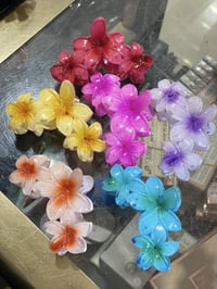 قراصات • اكسسوارات