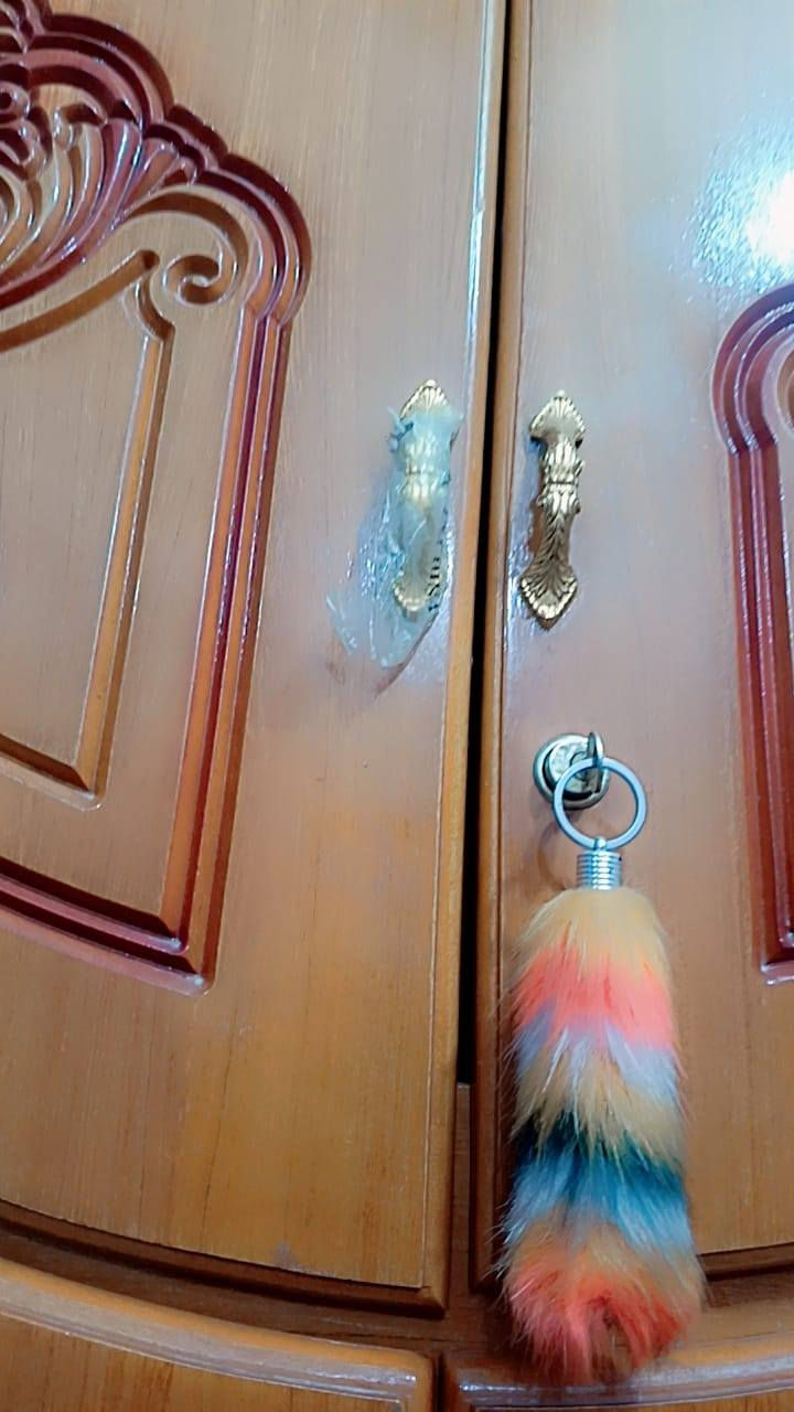 السلام عليكم متاح غرفة اخشاب نجارة عراقيةكامله صاج كنتور ابو ال٦ طابقين شرط نضافه ٩٠%
الشراي يتفضل خاص


**إذا كنت صاحب هذا الإعلان وتريد حذفه لأي سبب، رجاءا أرسل رسالة إلى الدعم الفني**